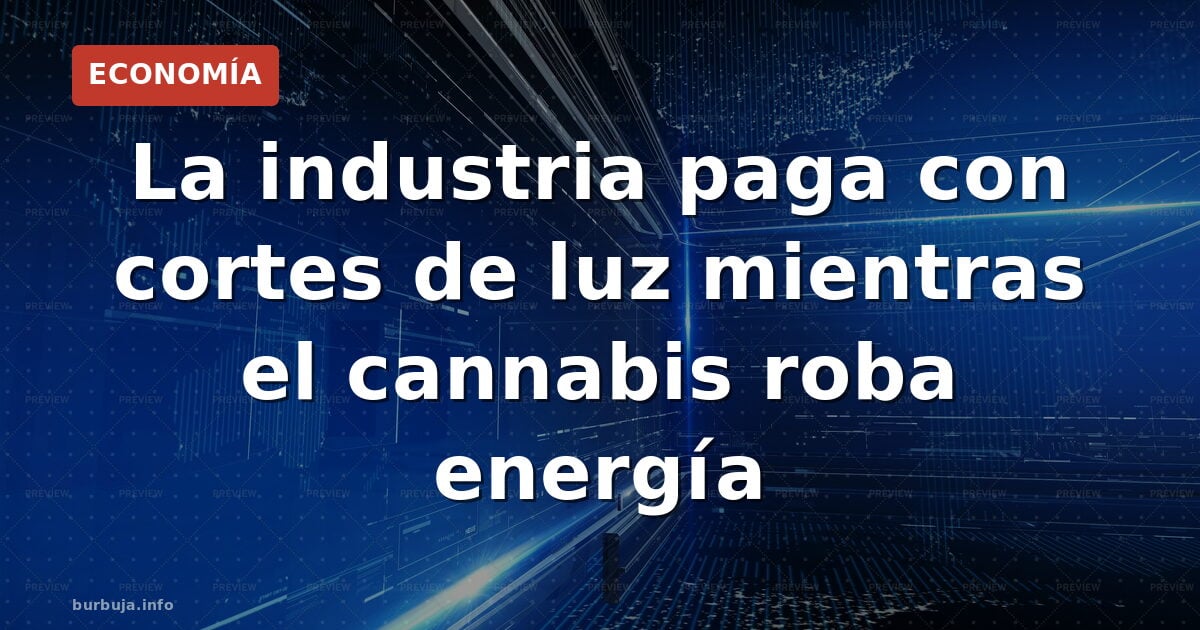Red Eléctrica vuelve a cortar: el fraude de la marihuana nos cuesta 200 millones