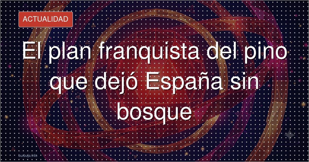 La reforestación de pinos que dejó a España sin gestión forestal