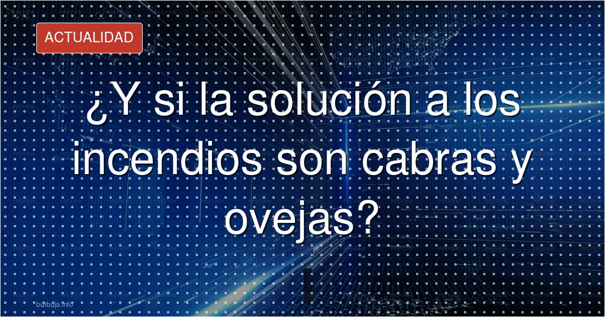 Cabras y ovejas: el cortafuegos que nadie paga