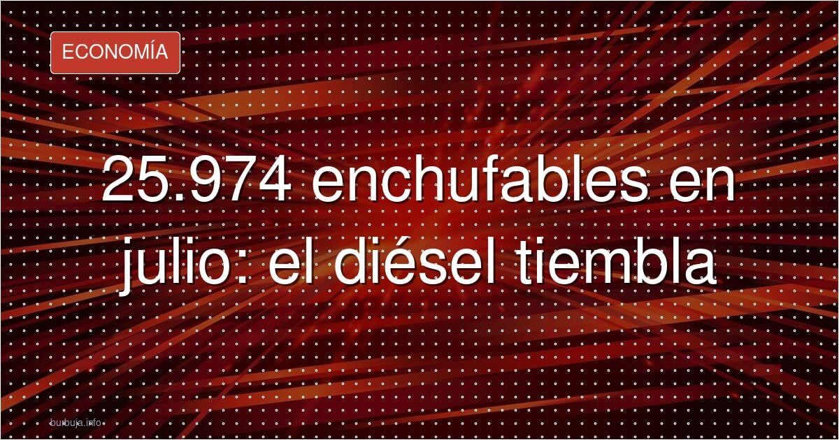 25.974 coches con enchufe: julio arrasa