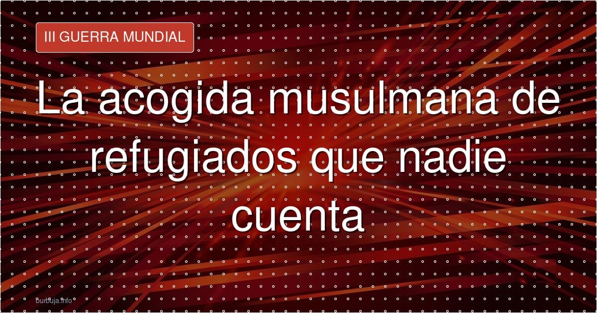 Países musulmanes que sí acogen refugiados: los datos