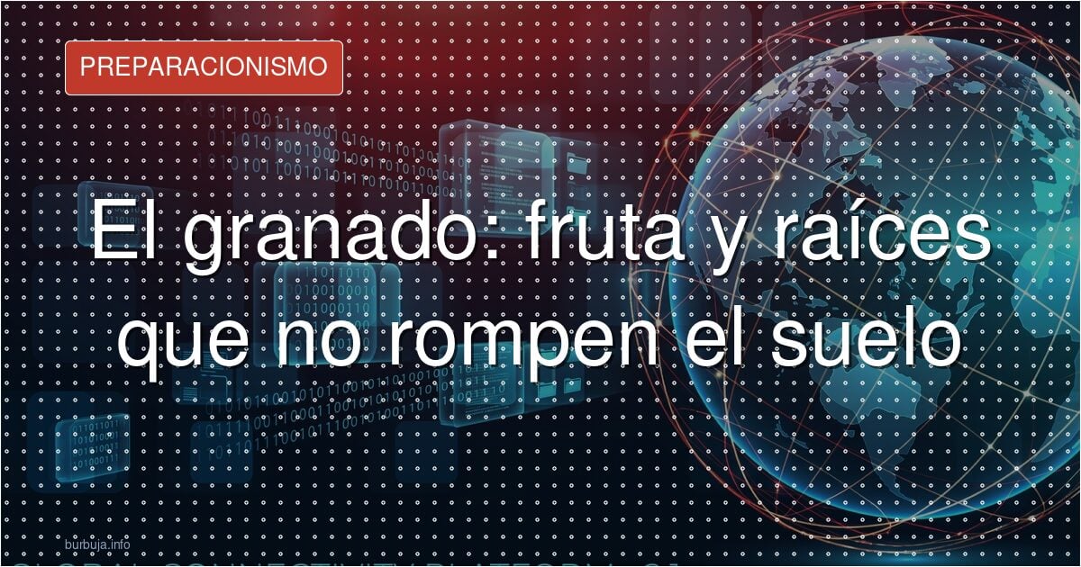 La higuera, la gran amenaza de tu patio