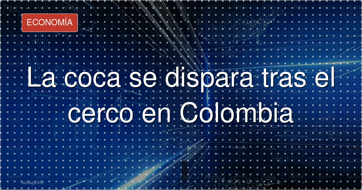 ¿Coca a 10.000 euros? Nuevo gobierno detiene capos