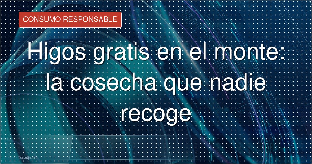 Higos de 7 euros que nadie recoge