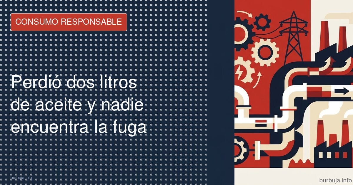 Tu coche pierde aceite y no sabes por dónde