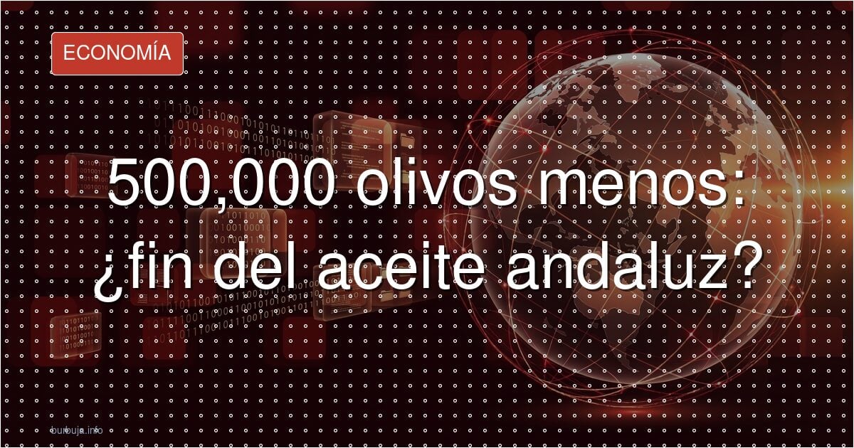 500.000 olivos arrancados: ¿y ahora qué pasa con el aceite?