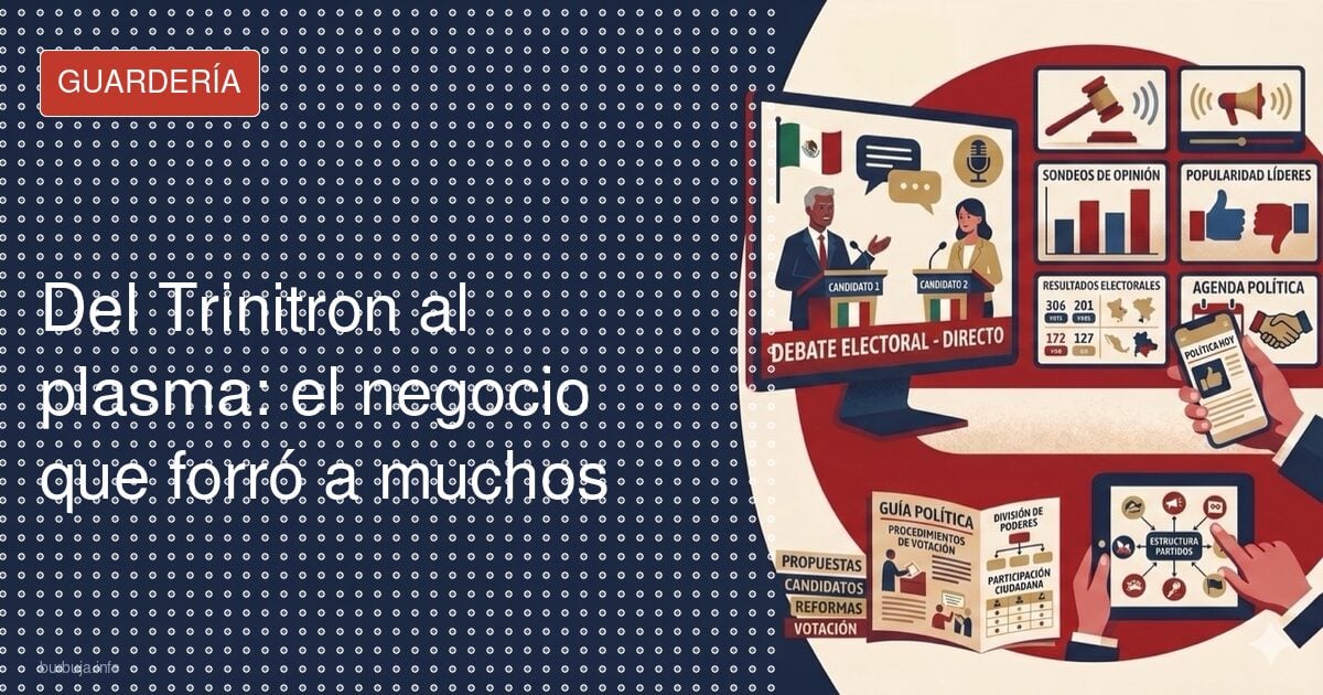 Del Trinitron al plasma: el negocio que forró a muchos