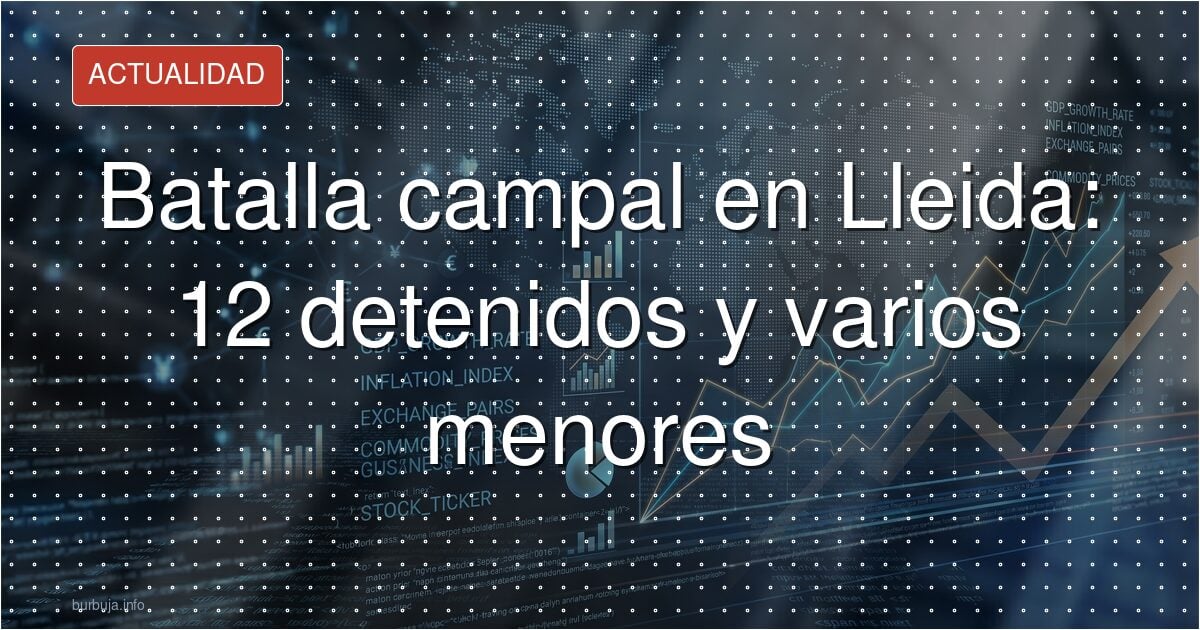 12 detenidos en Lleida tras una batalla campal entre dos grupos