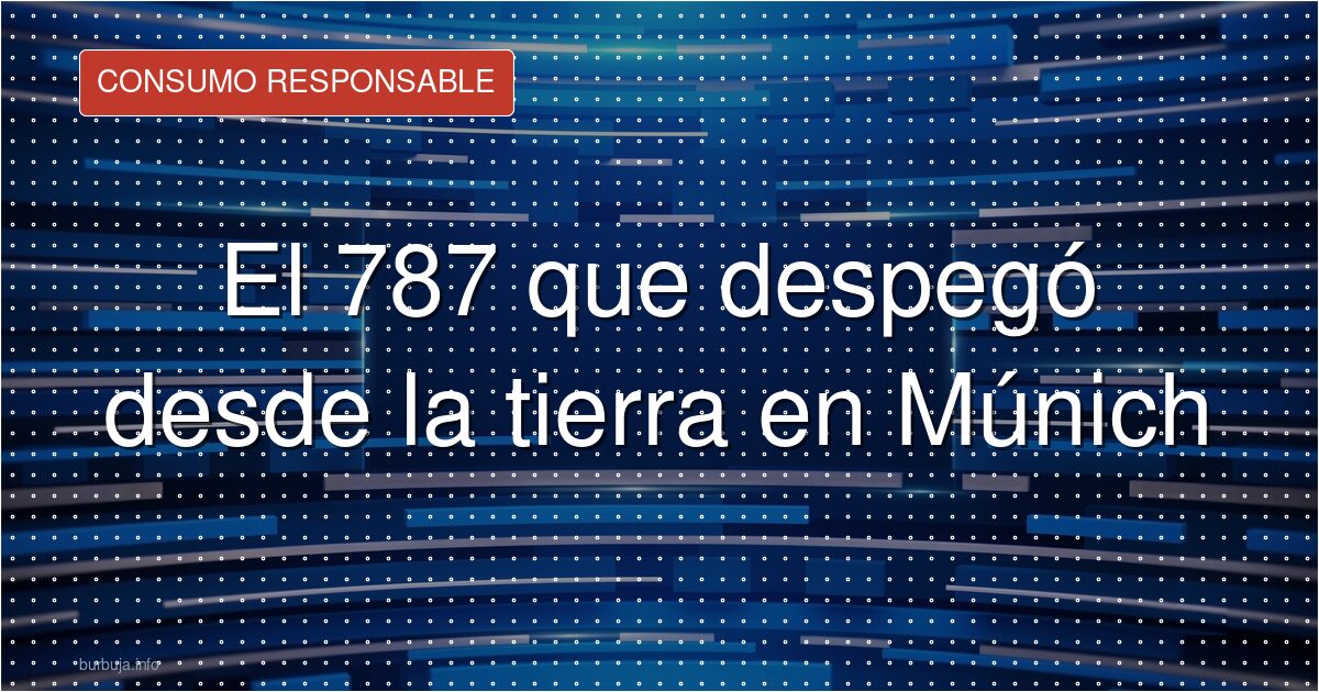 El 787 que despegó desde la hierba en Múnich