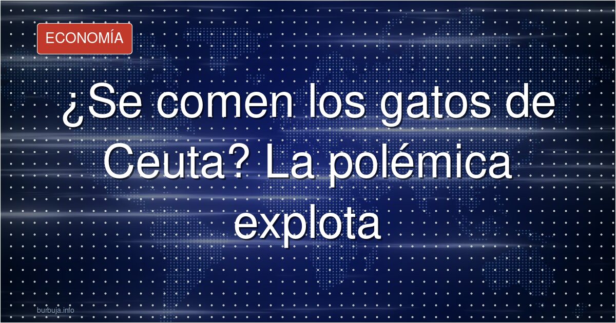 Ceuta sin gatos: el misterio que nadie resuelve