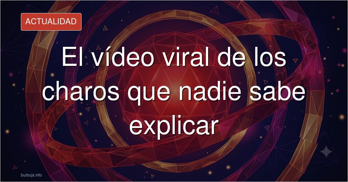 Móvil reproduciendo un vídeo de una pelea callejera con créditos paródicos en pantalla