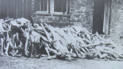 Dachau+Corpses.JPG