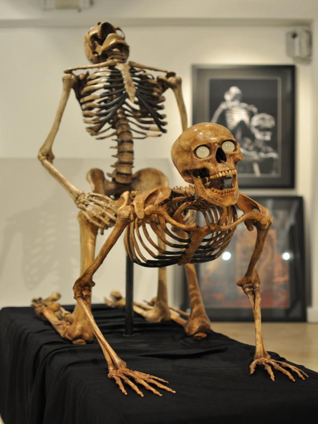 esqueletos-1.jpg
