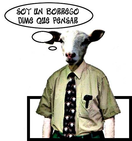borrego.png