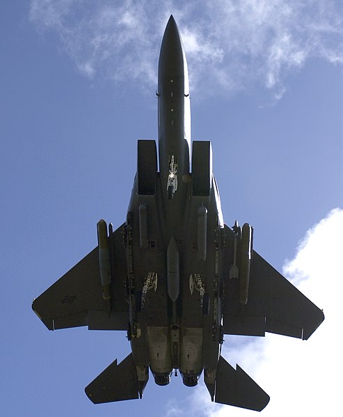 493px-F-15E_Strike_Eagle_With_Landing_Gear_Down_Underside_View.jpg