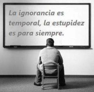 Frase+Ignorancia.png