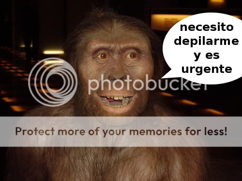Australopithecus_afarensis.jpg