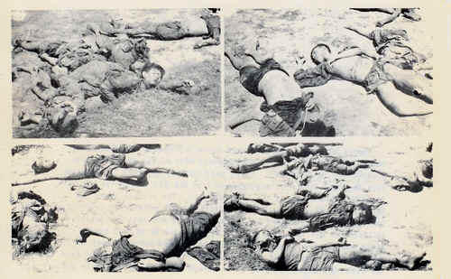 Vietcong-atrocidad.jpg