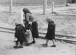 250px-Bundesarchiv_Bild_183-74237-004%2C_KZ_Auschwitz-Birkenau%2C_alte_Frau_und_Kinder.jpg