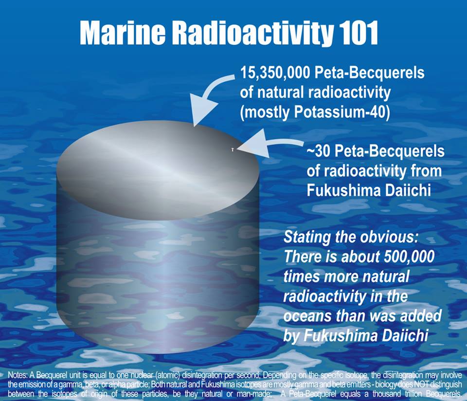Marine%20Radioactivity%20101.jpg