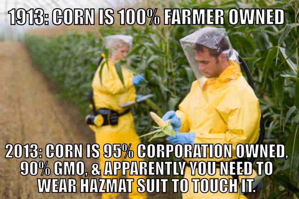 Corn-95-pct-Corp-Owned-and-you-need-a-Hazmat-Suit-to-touch-it.jpg