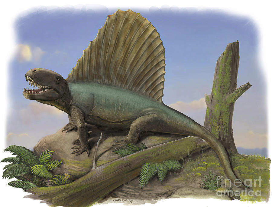 dimetrodon-limbatus-a-prehistoric-sergey-krasovskiy.jpg