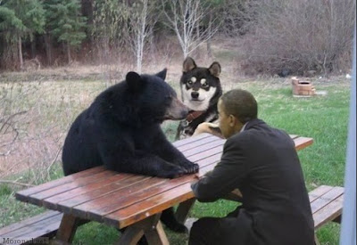Obama+Bear.jpg