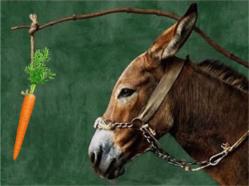 1-PICTURE-1-donkey-and-carrot-Copy.jpg