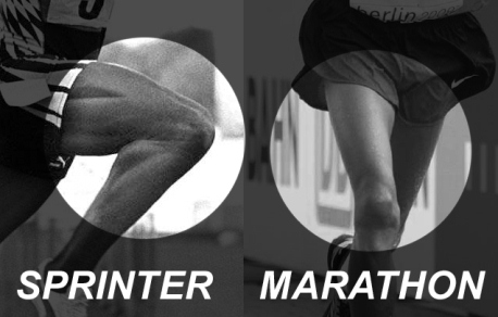 sprint-marathon1.jpg