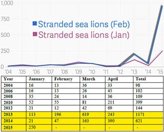 CA_sea-lions_strandings.jpg